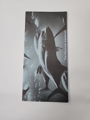 1973 National Aquarium Washington DC Fish Vintage Tourist Travel Brochure - Picture 2 of 7