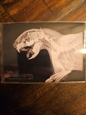 2024 Topps Allen & Ginter Cape Porcupine X-Ray'd #XR-12