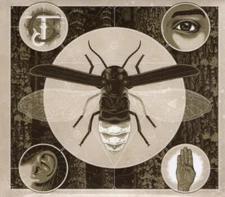 Jerry Cantrell - Brighten CD - SEALED NEW - Grunge - Alice In Chains - GREAT