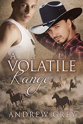 A Volatile Range by Andrew Grey (Paperback, 2013)