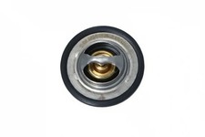 Thermostat Renault AVANTIME