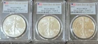 LOT OF 3 2021 .999 Silver Eagle  2021 Type 2 MS70