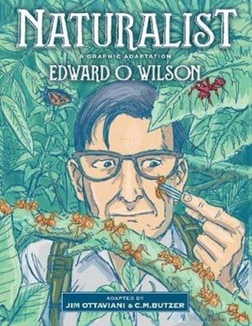 Naturalist: A Graphic Adaptation by Jim Ottaviani, Edward O Wilson... - Image 5