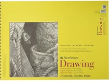  Strathmore 300 Series Drawing Pad, 18"x24" Wire Bound, 25 Sheet Kitchen