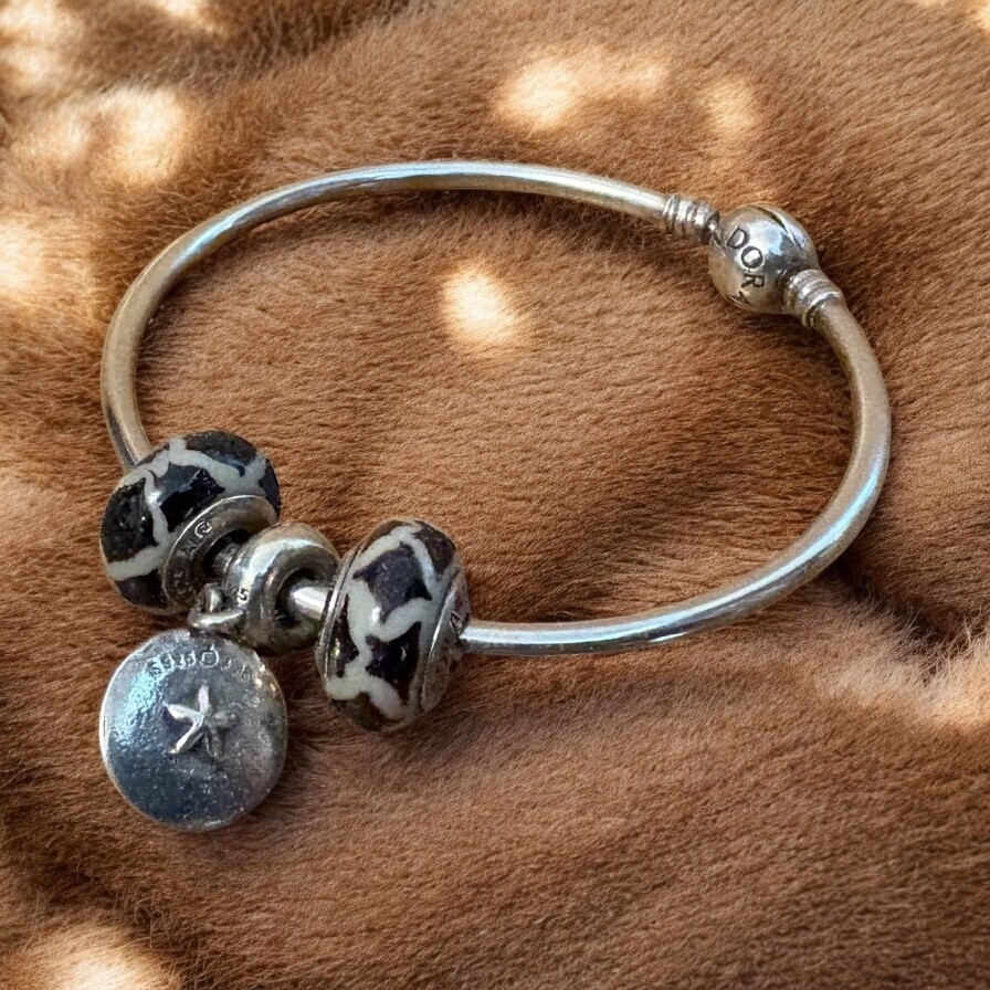Pandora Solid silver bangle with 3 charms pre-lov… - image 1