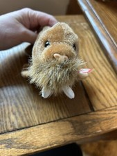 TY BEANIE BABY CUTE PAUL THE WALRUS WITH TAG PLUSH TOY & FREE SHIPPING