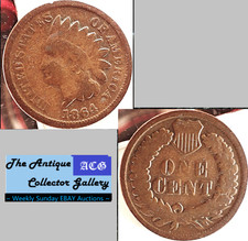  on The Hot Collector