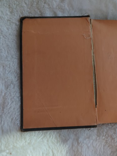 Home Remedies for Man and Beast Jefferis Davis 1891 HC The Household Guide 2nd - Foto 6 di 12