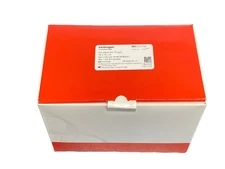 (8/Pk) THERMO INVITROGEN Incubation Trays w/Lid 10x14cm for E-PAGE Blots LC2102