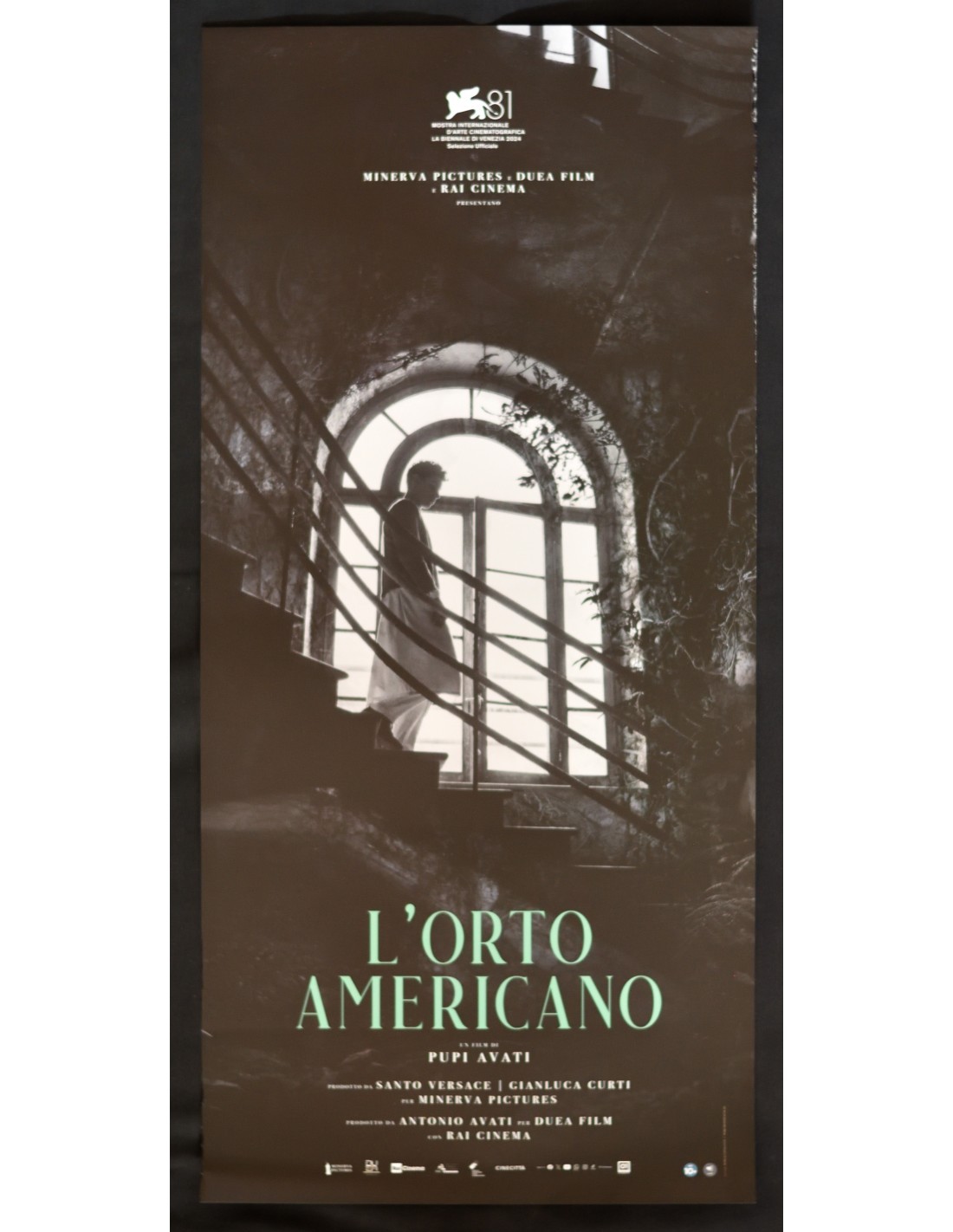Locandina originale film L’orto americano (2024) - Regia di Pupi Avati