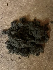 Black glowing embers