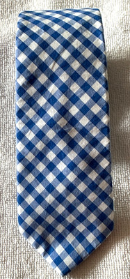 Crewcuts J. CREW BOYS YOUTH BLUE GINGHAM  52in NWOT