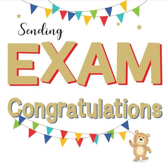 Sending Exam Congratulations Card. Teddy Bear And Bunting Design. 19x13cm