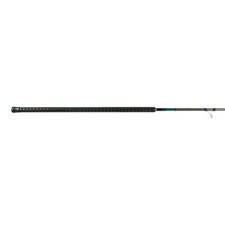 Shimano TERAMAR XX WC CASTING, Inshore, Casti...