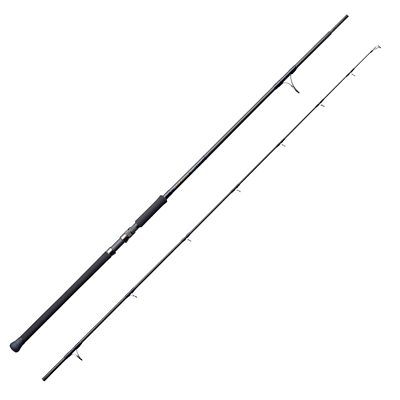 TENRYU Spinnrute POWER MASTER PM1002S-X