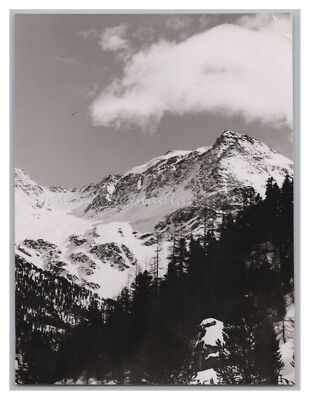 Solda in winter (Stelvio) South Tyrol 1958-mountain-old photo