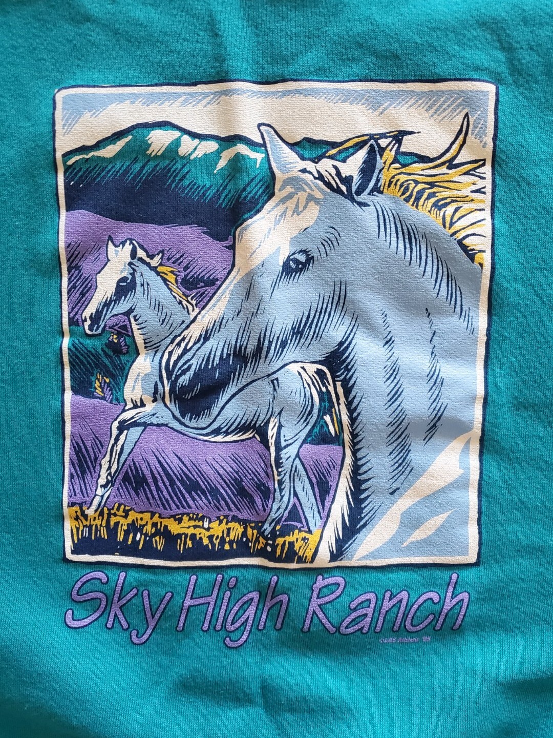 Felpa girocollo vintage Sky High Ranch cavallo equitazione pony XXL anni 90