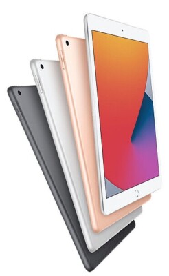 Apple iPad 8 (8th Gen) - (2020 Model) - 32GB - Wi-Fi - A2270