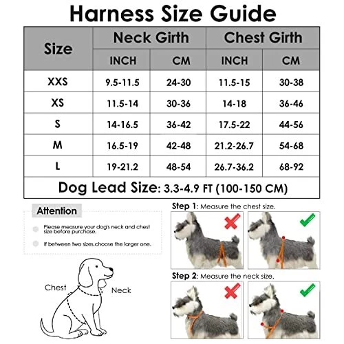 Dog Harness and Leash Set, Soft Padded Small XXS ( Chest 11.5'' ~ 15'') Blue