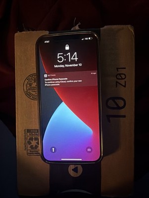 Apple iPhone 12 Pro Max - 256 GB - Silver (Unlocked) for sale