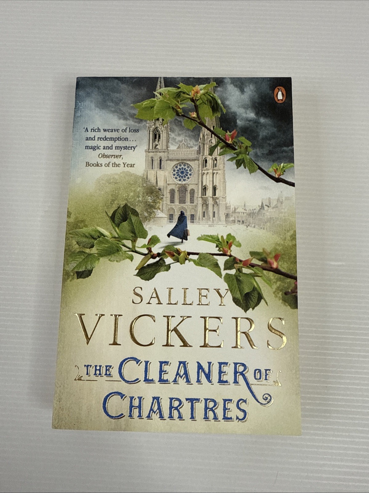 The Cleaner of Chartres by Salley Vickers Paperback 2013 Brand New Copy