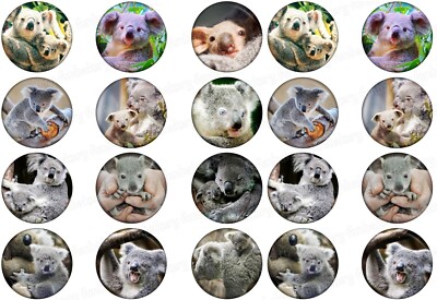 Koala Bär essbar Tortenbild Party Deko Geschenk Muffin Cupcake Geburtstag neu