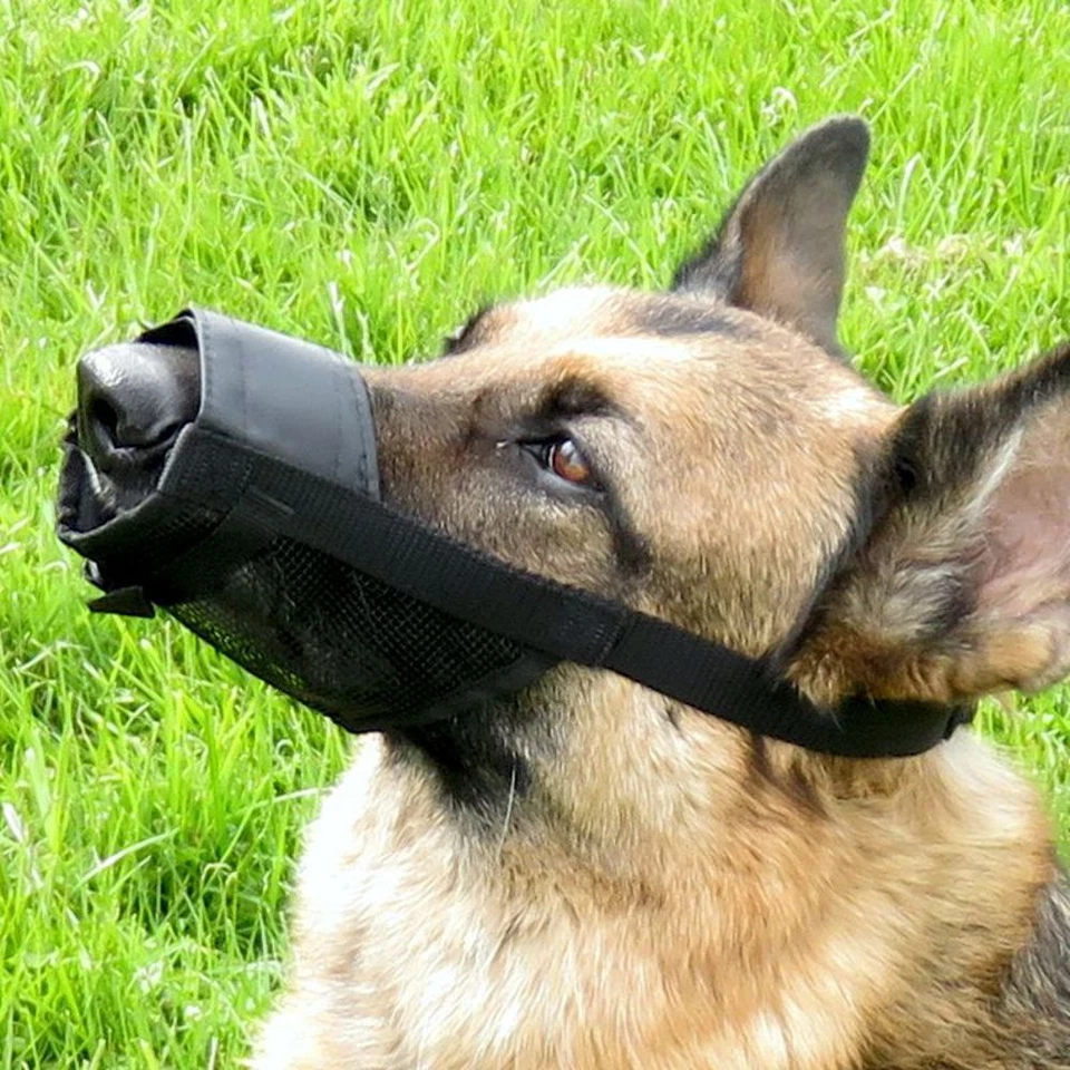 Nobby Maulkorb verstellbar - Größe Size 0/1/2/3/4 - Hundemaulkorb Nylon Hund - Bild 4 von 4