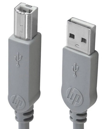 Monster Cable USB 2.0 A Male to B Male HP Printer Camera Sync Data 6' 480MbPS 🆕 - Image 3 of 4