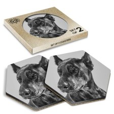 2 x Hexagon Coasters - BW - Doberman Dog Portrait Puppy #39046