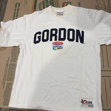 Vintage Chase Authentics NASCAR DuPont Motorsports Jeff Gordon V-Neck Shirt Sz L