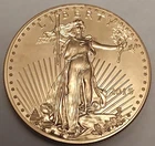 $50 1 Oz Ounce PURE FINE GOLD AMERICAN LIBERTY EAGLE Round Coin PROOF Bullion NR