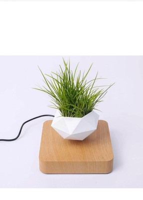 Levitating Plant Pot / Magnetic Floating Bonsai Desk