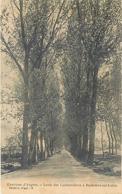 49 ROCHEFORT SUR LOIRE, Levée des Lambardières