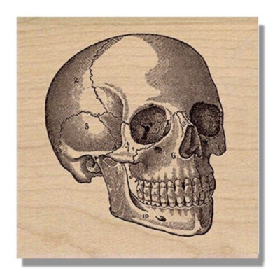 Mounted Rubber Stamp, SKULL, Halloween,Skeleton,Head,Numbers,Small,Bones,Man,Eye