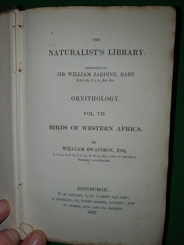 1837 BIRDS OF WESTERN AFRICA BY JARDINE 32 PLATES ORNITHOLOGY NATURALIST LIBRARY - Imagen 5 de 19