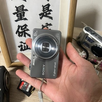 SONY Cyber Shot DSC-WX100 Digital Camera 18.2 MP 10x Optical Zoom