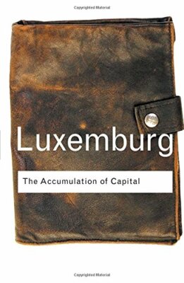 Accumulation of Capital by Luxemburg  New 9780415304450 Fast Free Shipping..