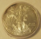 2008 US Silver Eagle in Capsule!!