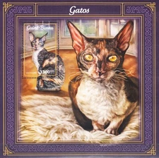 W GUINEA-BISSAU Y2017 (3) CATS