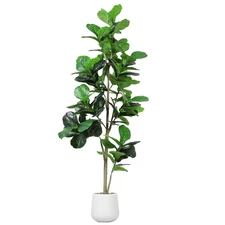 Artificial Fiddle Leaf Tree, 7ft Faux Plant Fake Ficus Lyrata Trees with Whit...