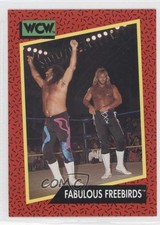 1991 Impel WCW Fabulous Freebirds Michael Hayes Jimmy Garvin #127 0s5