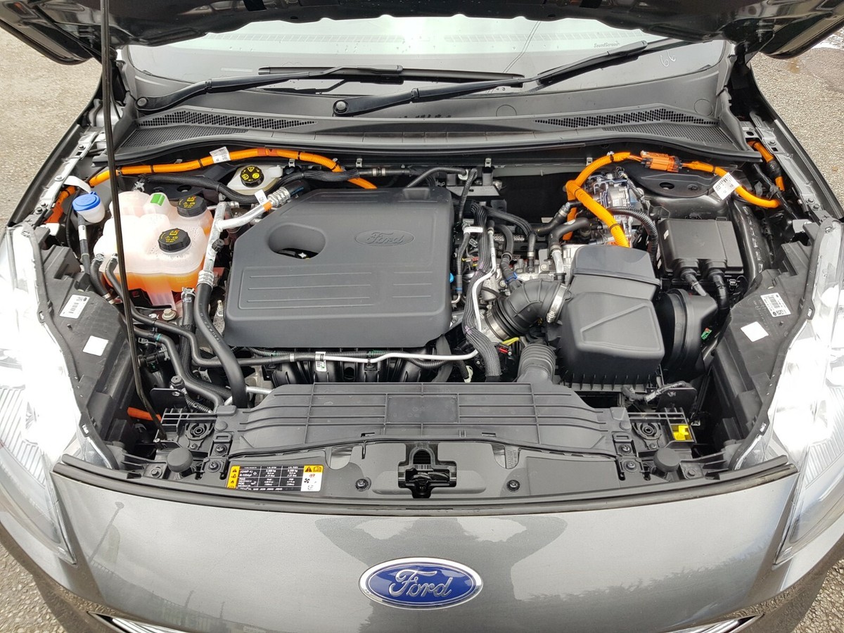2 Stuks Auto Rvs Motorkap Gasveren, voor Ford Kuga/Escape 2013-2018 Motorkap Schokdemper Springs Stutten, Hydraulische Ondersteuning Staaf, Body Fittings