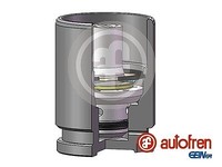 Autofren Seinsa Kolben, Bremssattel Hinterachse U.A. FüR CitroËN, Ds, Fiat, Ford