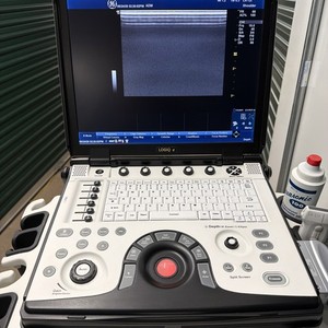 2020 ge logiq e next gen rev10  Ultrasound System with probe 