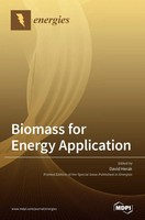 Biomass For Energy Application | Buch | Englisch (2021) | Gebunden | Mdpi Ag