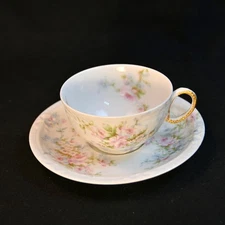 Limoges Theodore Haviland Cup & Saucer Roses Daisies 1904-mid1920's Small Beads