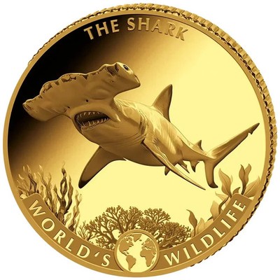 Kongo 10 Francs 2026 World´s Wildlife (8.)  Hai Shark 0,5 Gramm Gold Proof