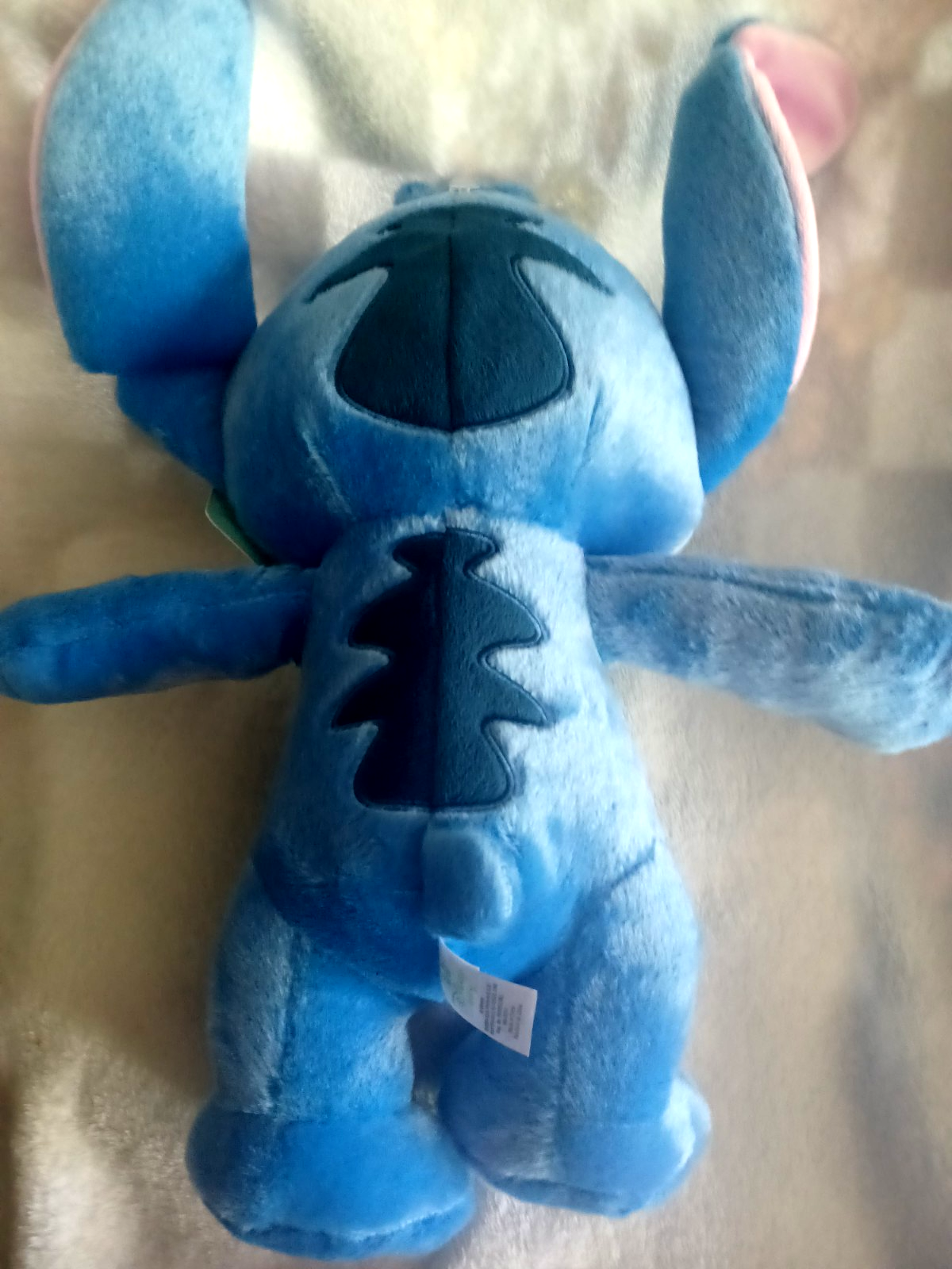 Bild 5 von 5