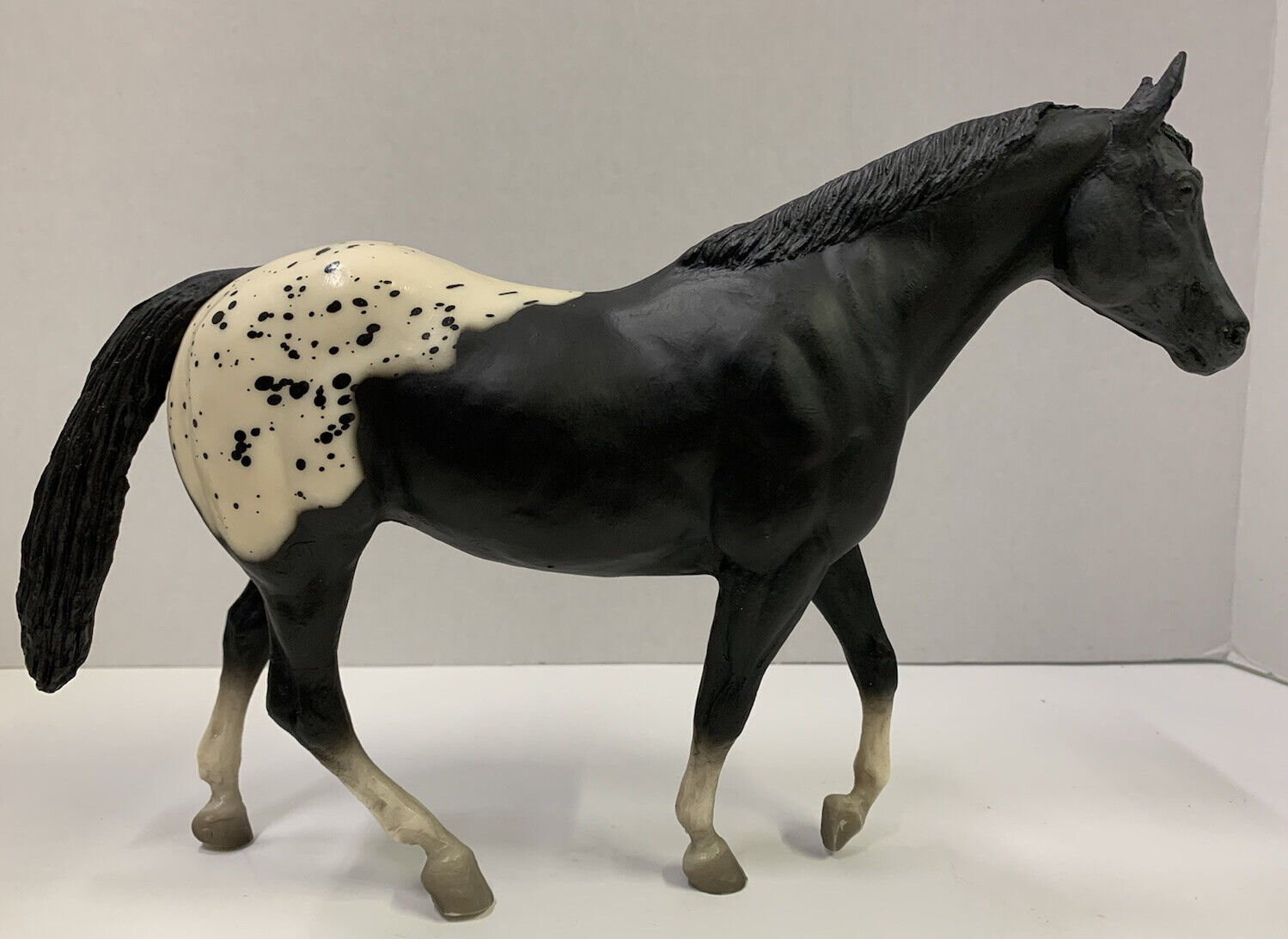 The Appaloosa Horse  Great Horses Benefit From Great Supplements