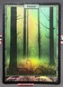 MTG FOIL Forest- DAMAGED -Unhinged Magic the Gathering Card #140